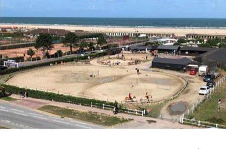 Deauville-les Marinas,vue Et Bassin *